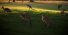 Twilight Golf Rate after 3pm